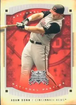 Adam Dunn · 2005 Fleer National Pastime #8