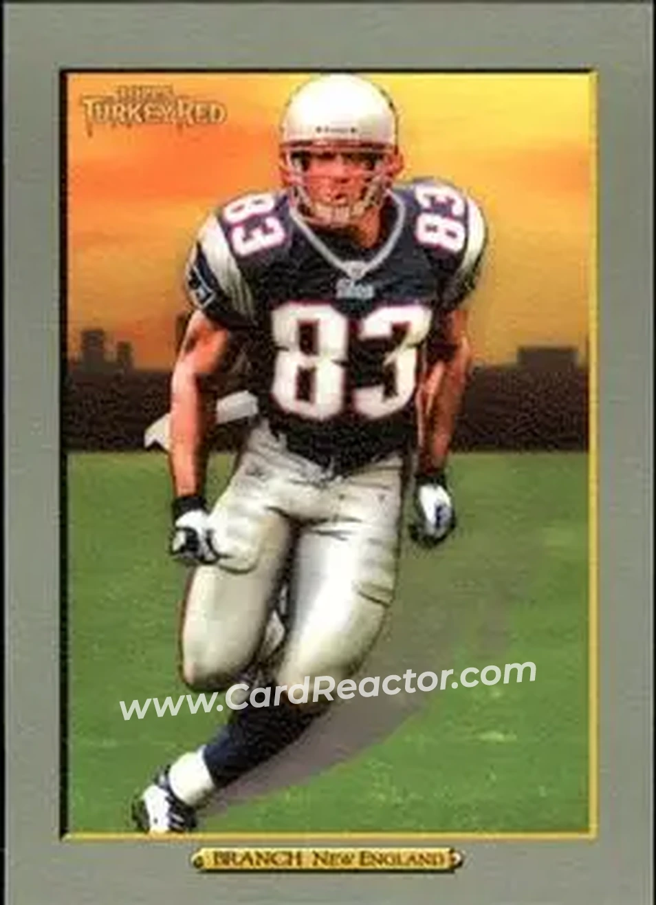 2005 Topps Turkey Red #22 - Deion Branch - New England Patriots - Front