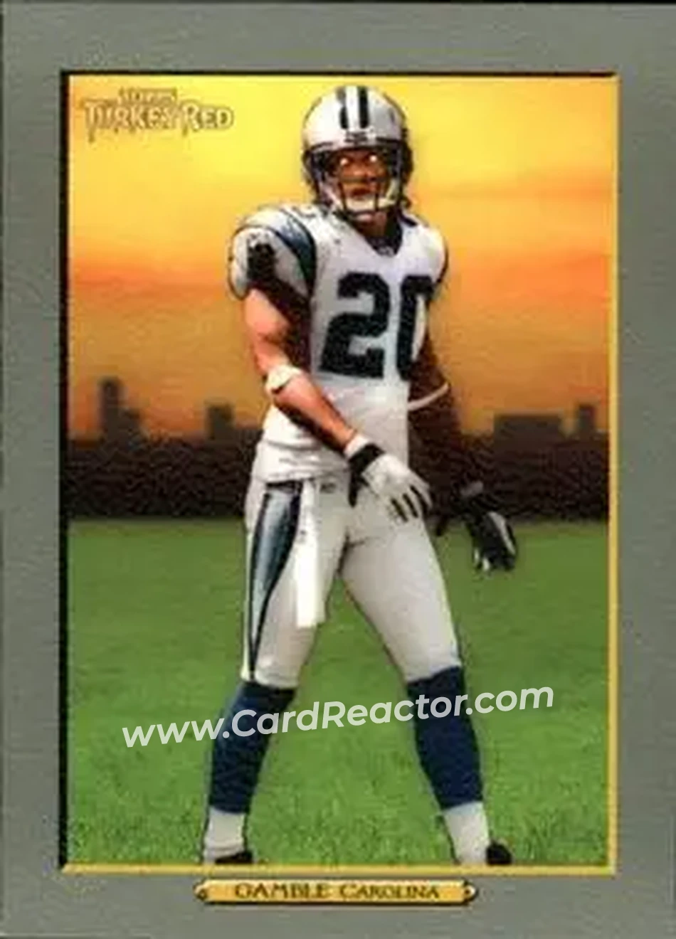 2005 Topps Turkey Red #32 - Chris Gamble - Carolina Panthers - Front
