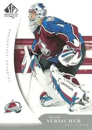 2005-06 SP Authentic feature card