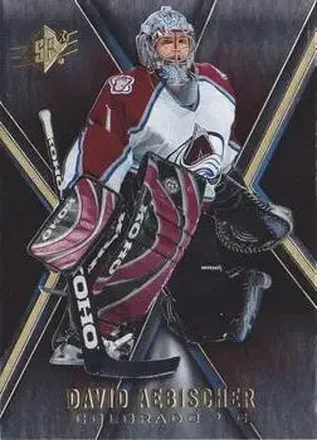 2005-06 SPx #20 David Aebischer