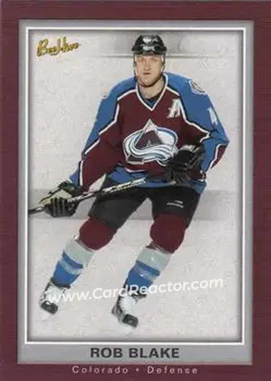 2005-06 Upper Deck Bee Hive #25 - Rob Blake - Colorado Avalanche - Front 2005-06 Upper Deck Bee Hive #25 - Rob Blake - Colorado Avalanche - Front