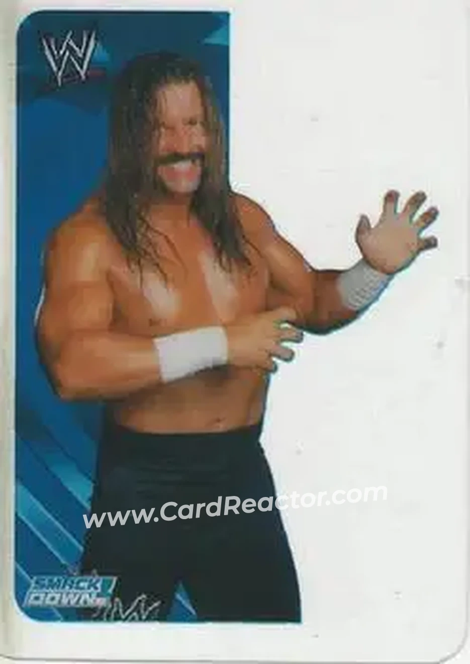 2005 Edibas WWE Lamincards (Italian) #1 - Al Snow - Front 2005 Edibas WWE Lamincards (Italian) #1 - Al Snow - Front