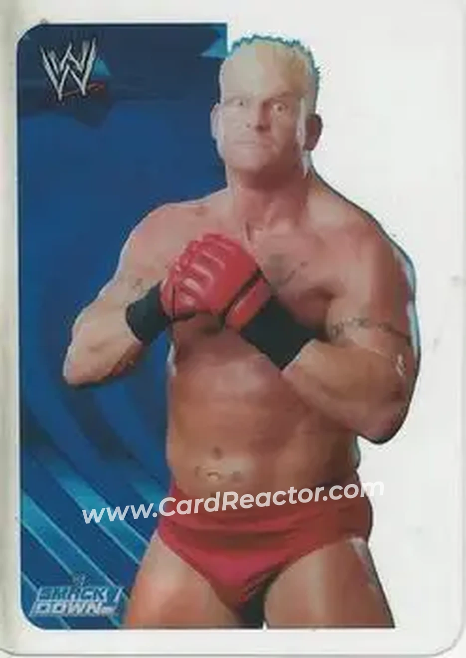 2005 Edibas WWE Lamincards (Italian) #11 - Heidenreich