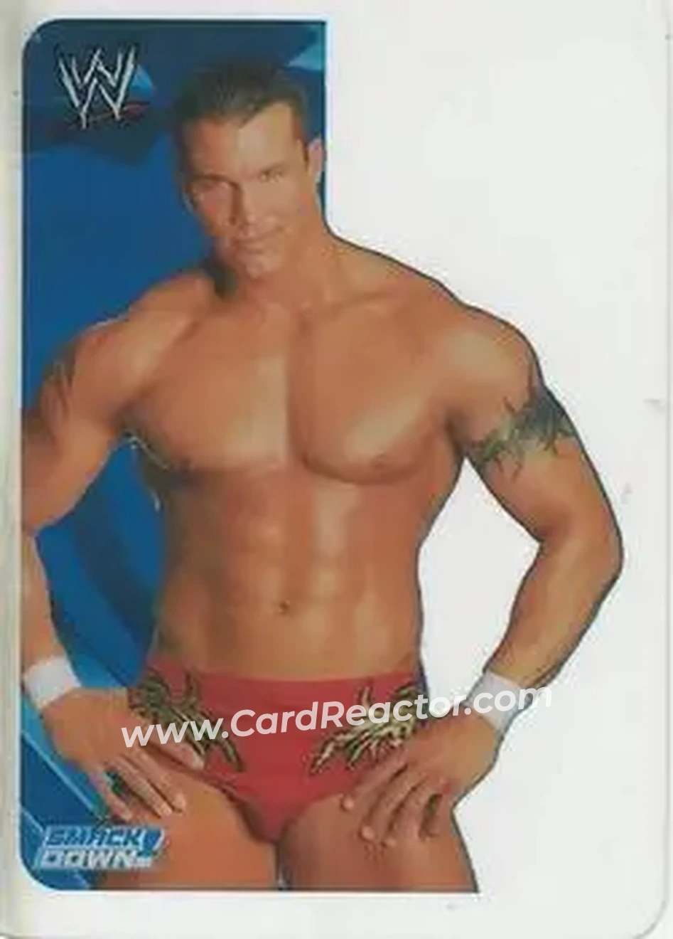 2005 Edibas WWE Lamincards (Italian) #20 - Randy Orton - Front 2005 Edibas WWE Lamincards (Italian) #20 - Randy Orton - Front