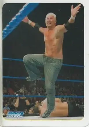 2005 Edibas WWE Lamincards (Italian) #60 - Scotty 2 Hotty