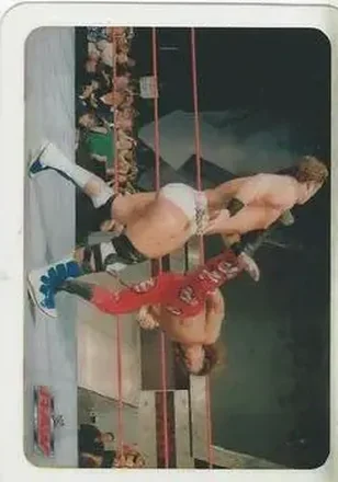 2005 Edibas WWE Lamincards (Italian) #76 - Shawn Michaels