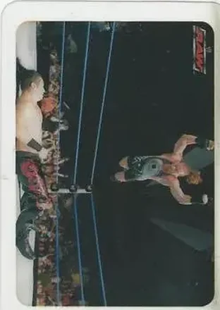 2005 Edibas WWE Lamincards (Italian) #81 - Rob Van Dam