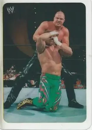 2005 Edibas WWE Lamincards (Italian) #98 - Danny Basham