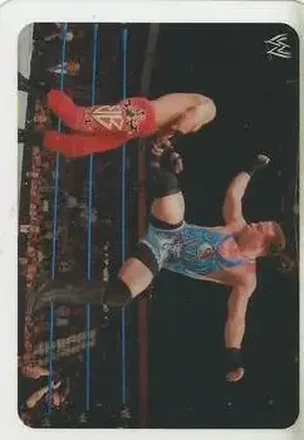 2005 Edibas WWE Lamincards (Italian) #107 - Rob Van Dam
