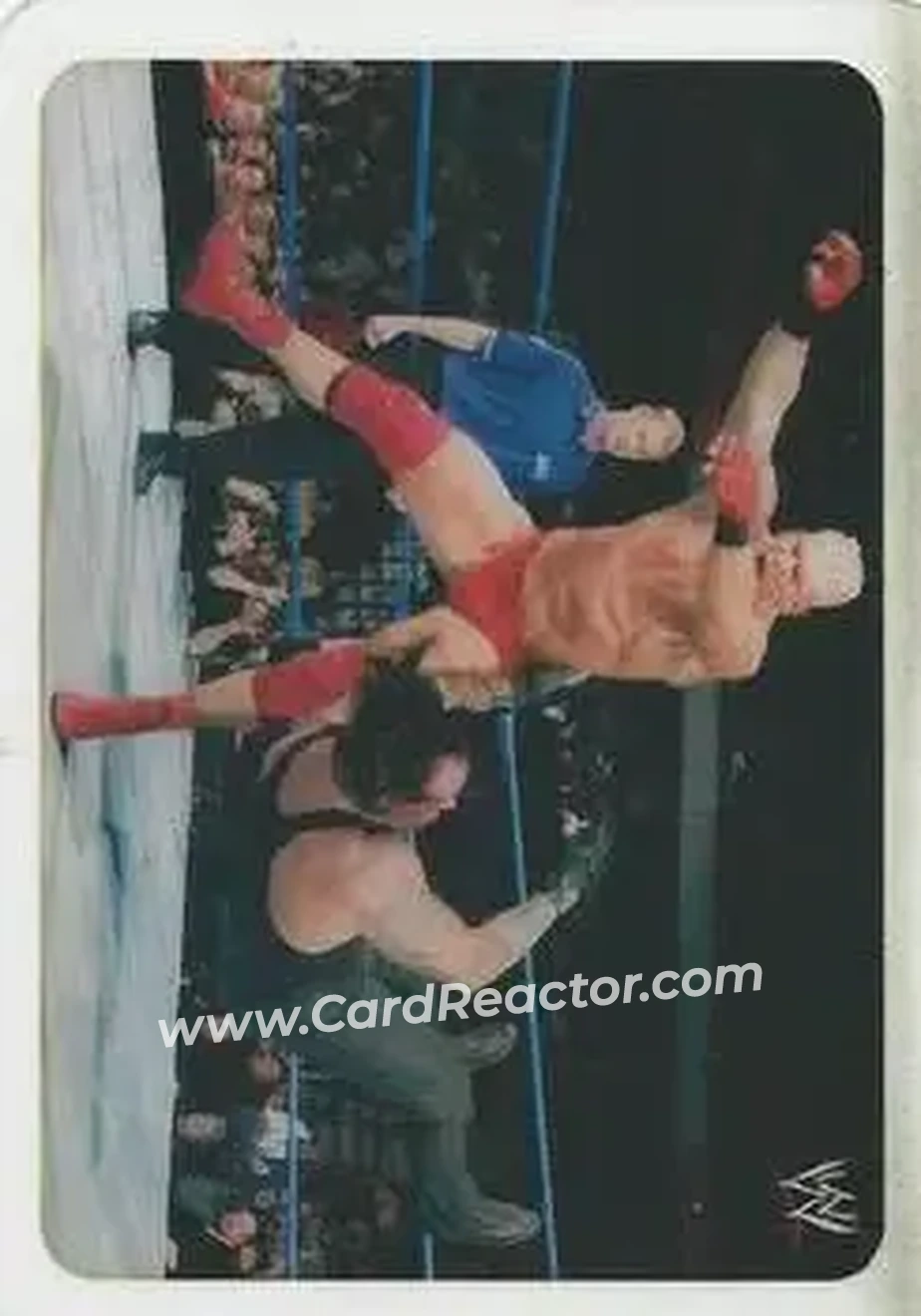 2005 Edibas WWE Lamincards (Italian) #108 - Heidenreich