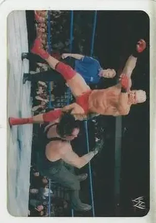 2005 Edibas WWE Lamincards (Italian) #108 - Heidenreich