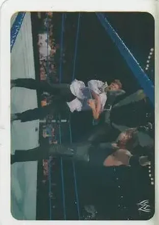 2005 Edibas WWE Lamincards (Italian) #115 - The Undertaker