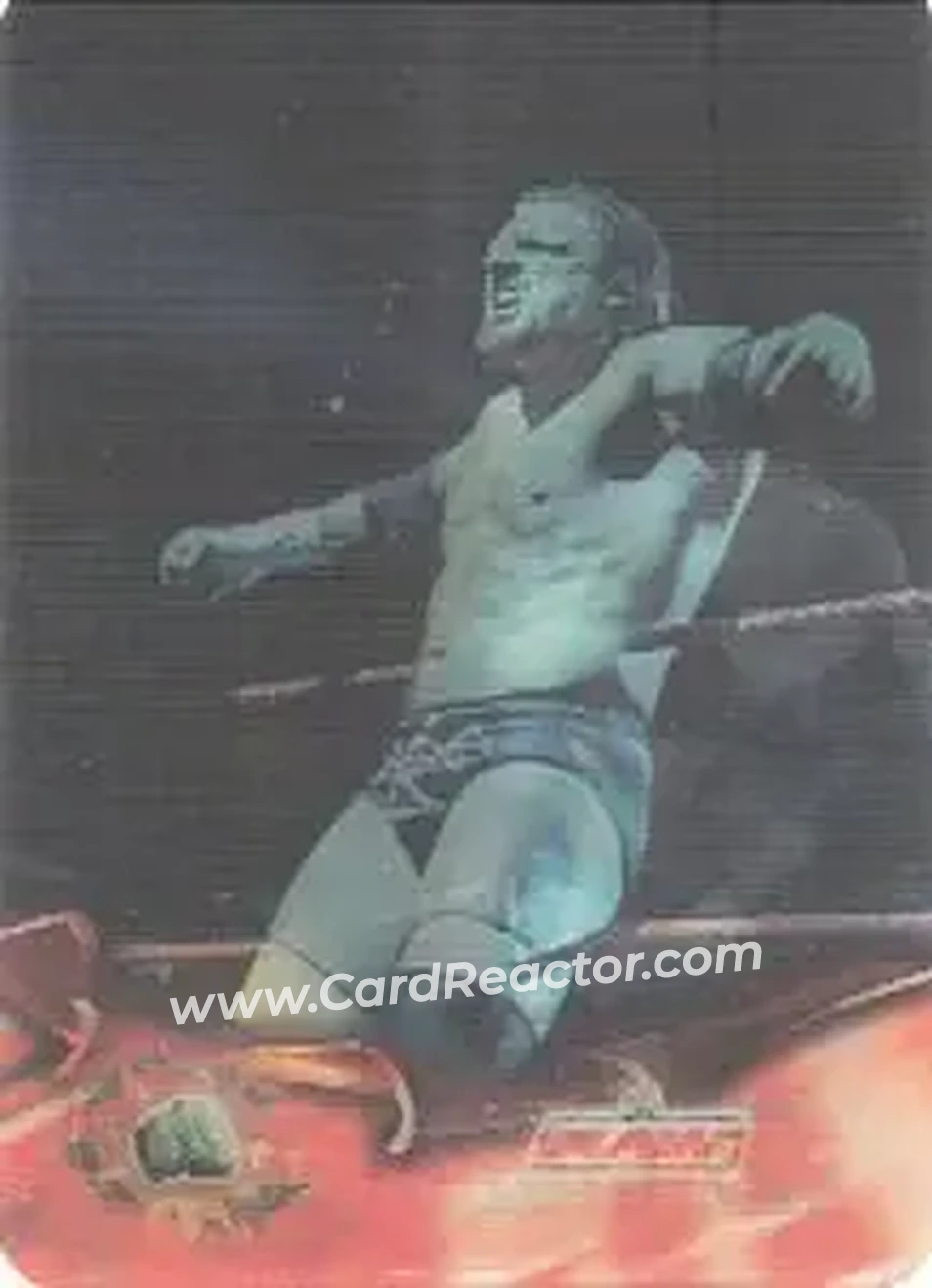 2005 Prominter WWE Animotion RAW / Smackdown! #192 - Hunter Hearst Helmsley - Front