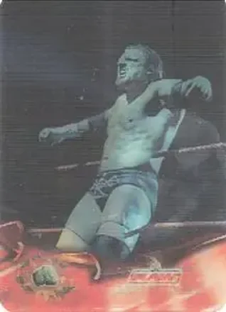 2005 Prominter WWE Animotion RAW / Smackdown! #192 - Hunter Hearst Helmsley
