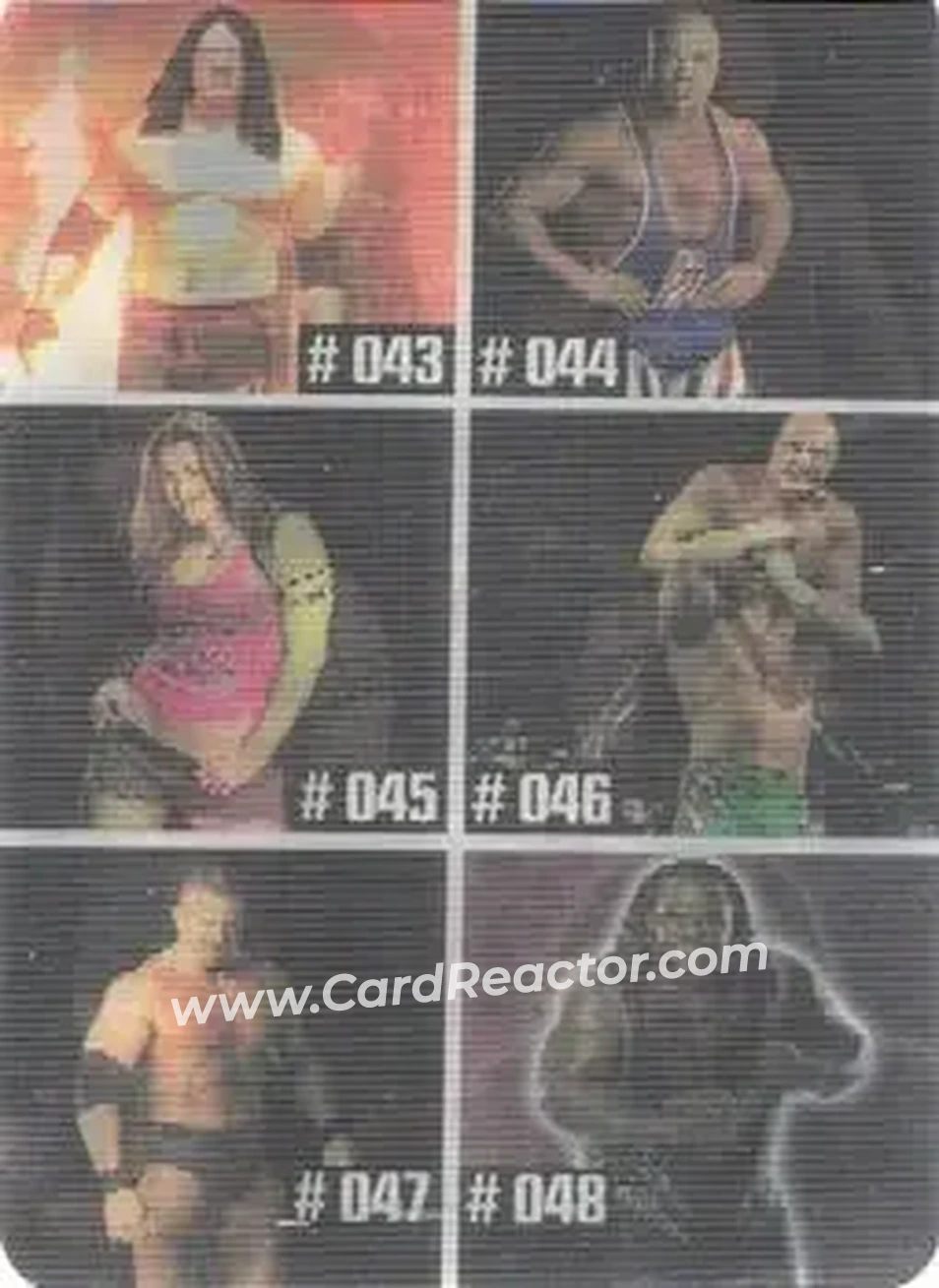 2005 Prominter WWE Animotion RAW / Smackdown! - Checklists #008 - Checklist 008 - Front