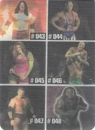 2005 Prominter WWE Animotion RAW / Smackdown! - Checklists #008 - Checklist 008