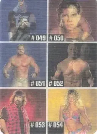 2005 Prominter WWE Animotion RAW / Smackdown! - Checklists #009 - Checklist 009