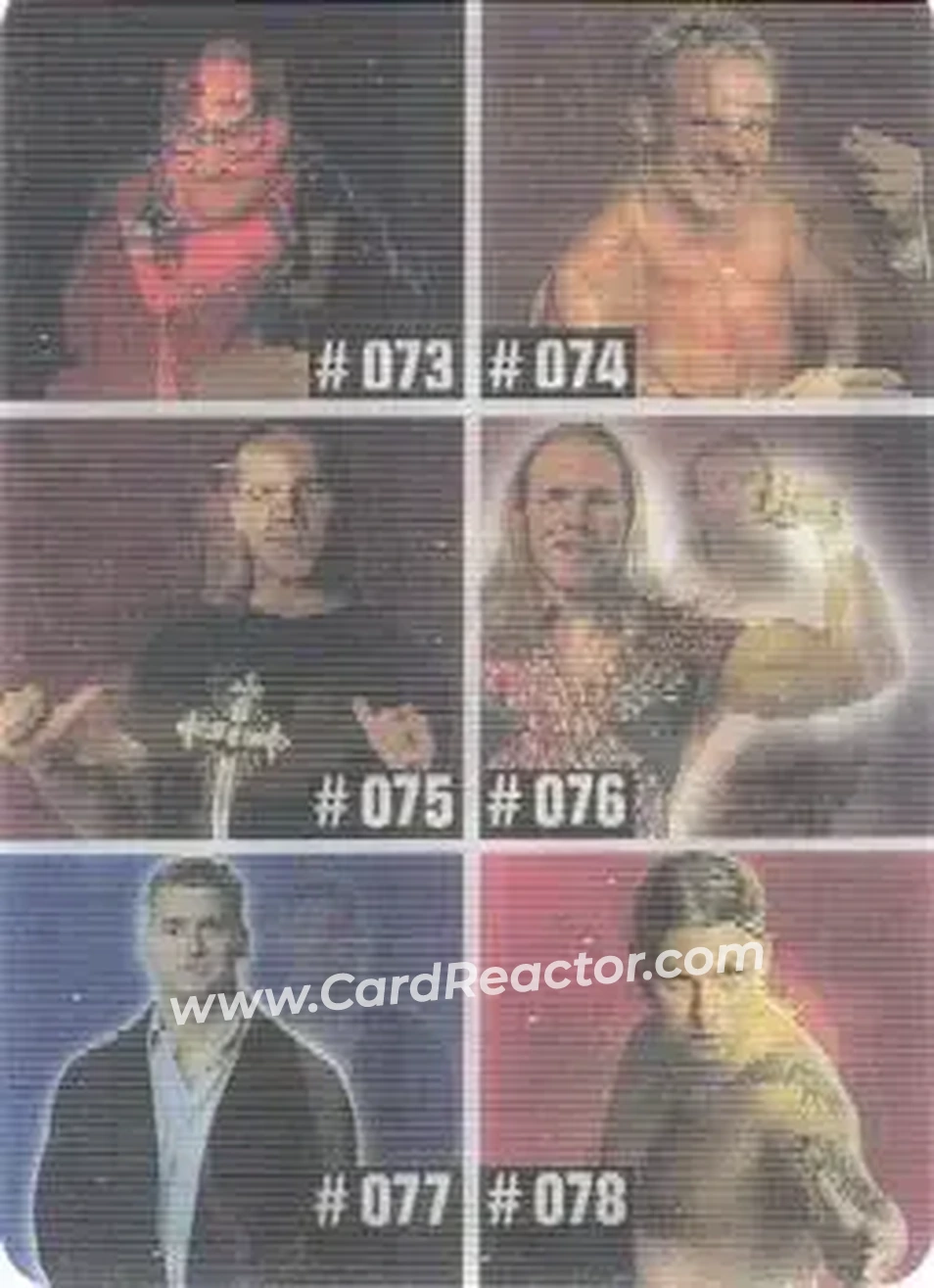 2005 Prominter WWE Animotion RAW / Smackdown! - Checklists #013 - Checklist 013 - Front