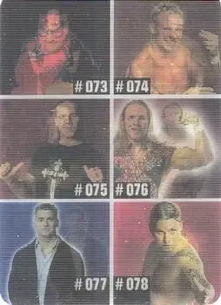 2005 Prominter WWE Animotion RAW / Smackdown! - Checklists #013 - Checklist 013
