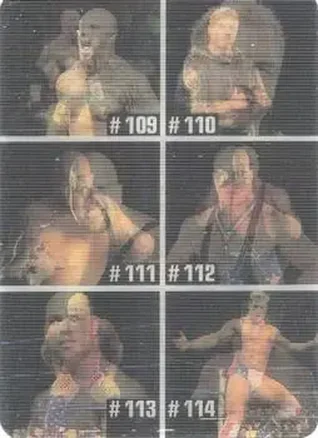 2005 Prominter WWE Animotion RAW / Smackdown! - Checklists #019 - Checklist 019