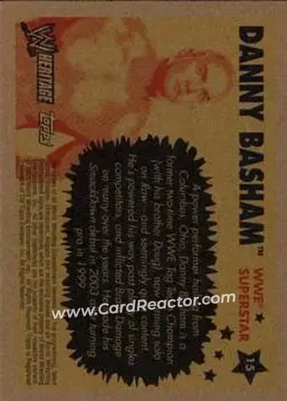 2005 Topps Heritage WWE #15 - Danny Basham - Back