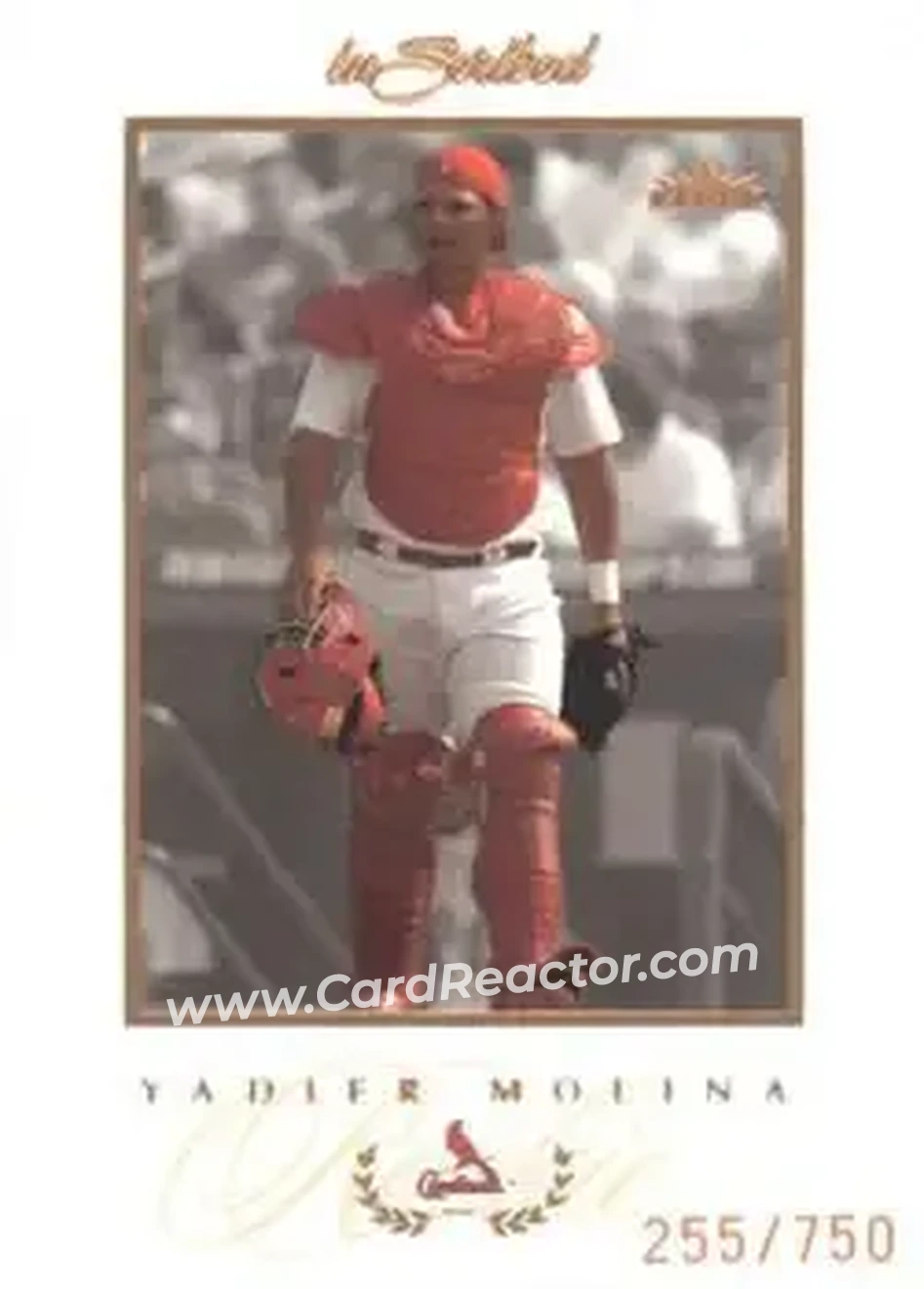 2004 Fleer InScribed #88 - Yadier Molina - St. Louis Cardinals - Front 2004 Fleer InScribed #88 - Yadier Molina - St. Louis Cardinals - Front