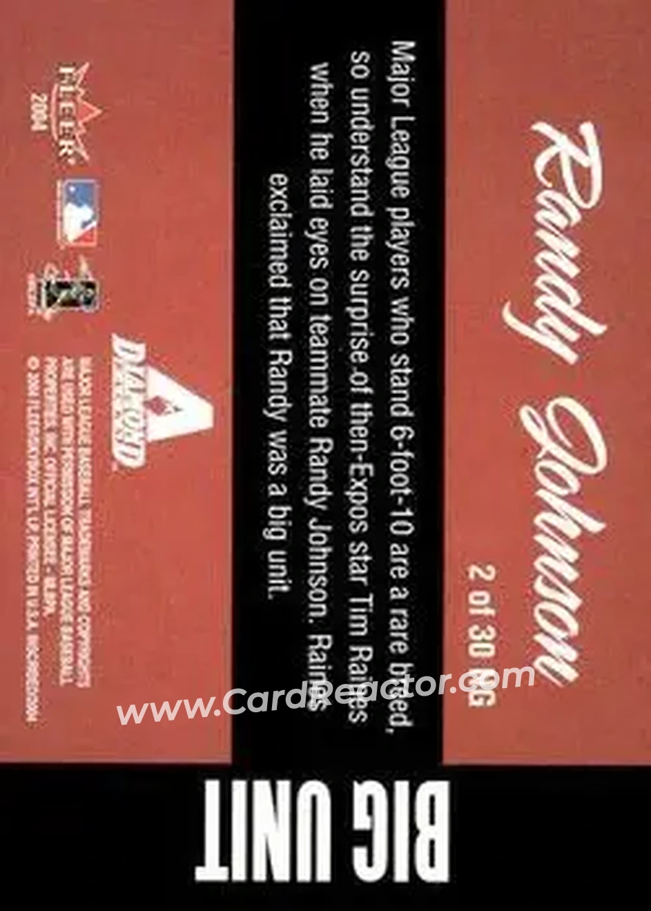 2004 Fleer InScribed - Names of the Game #2NG - Randy Johnson - Arizona Diamondbacks - Back