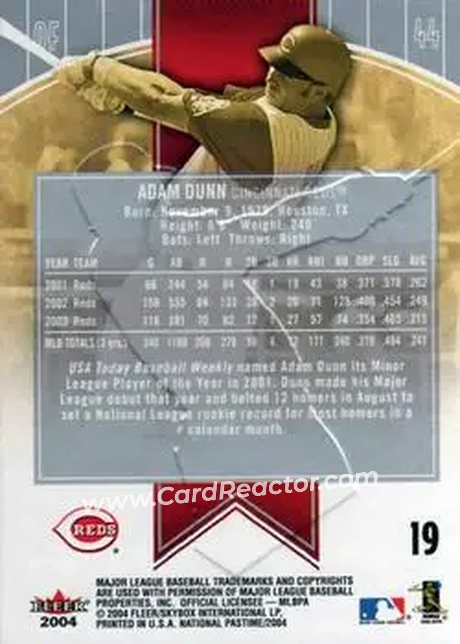 2004 Fleer National Pastime #19 - Adam Dunn - Cincinnati Reds - Back