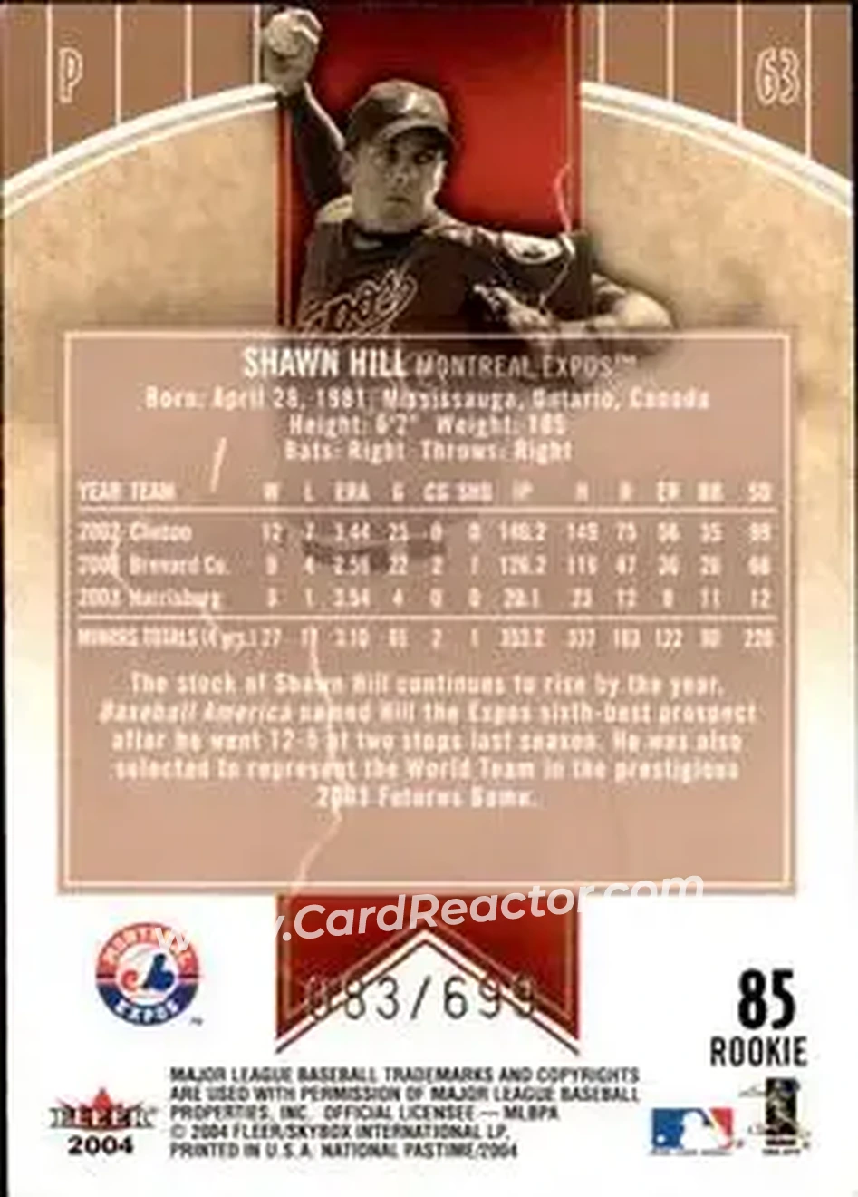 2004 Fleer National Pastime #85 - Shawn Hill - Montreal Expos - Back