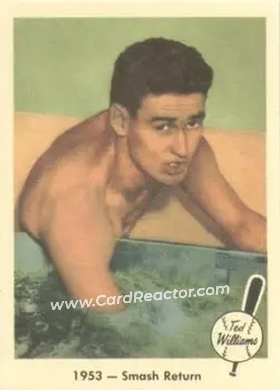 2004 Fleer National Pastime - 1959 Ted Williams Reprint #49 - Ted Williams - Boston Red Sox - Front