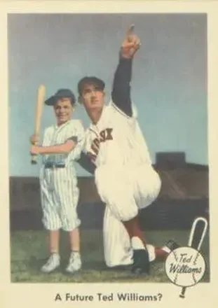 2004 Fleer National Pastime - 1959 Ted Williams Reprint #69 - Ted Williams - Boston Red Sox