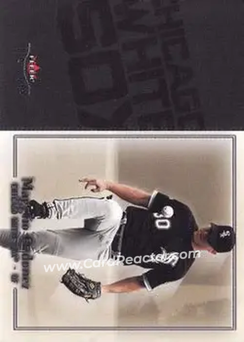 2004 Fleer Patchworks #86 - Magglio Ordonez - Chicago White Sox - Front