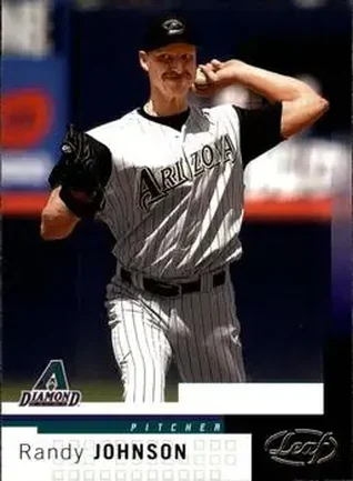 2004 Leaf #104 - Randy Johnson - Arizona Diamondbacks