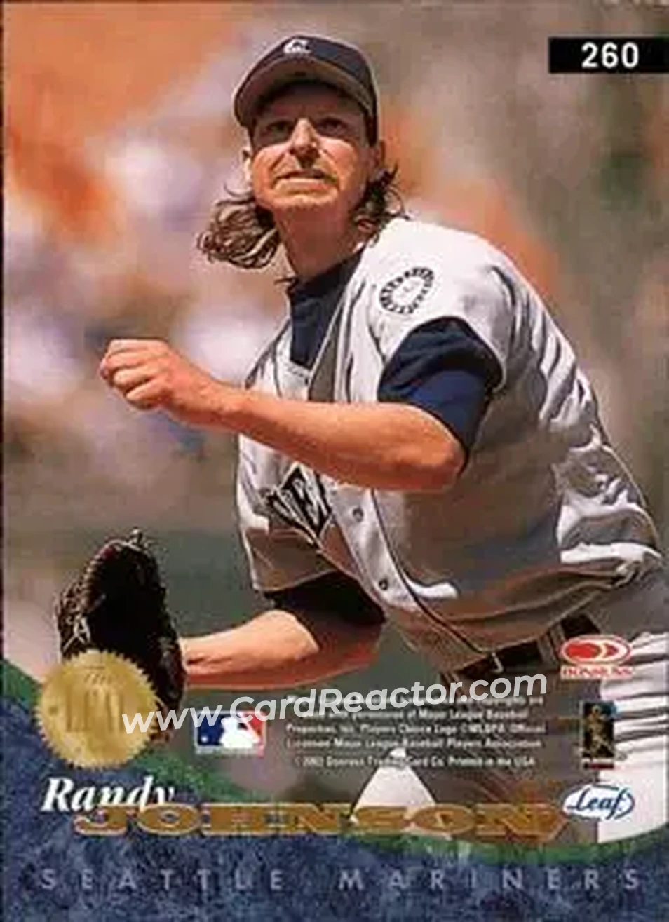 2004 Leaf #260 - Randy Johnson - Back