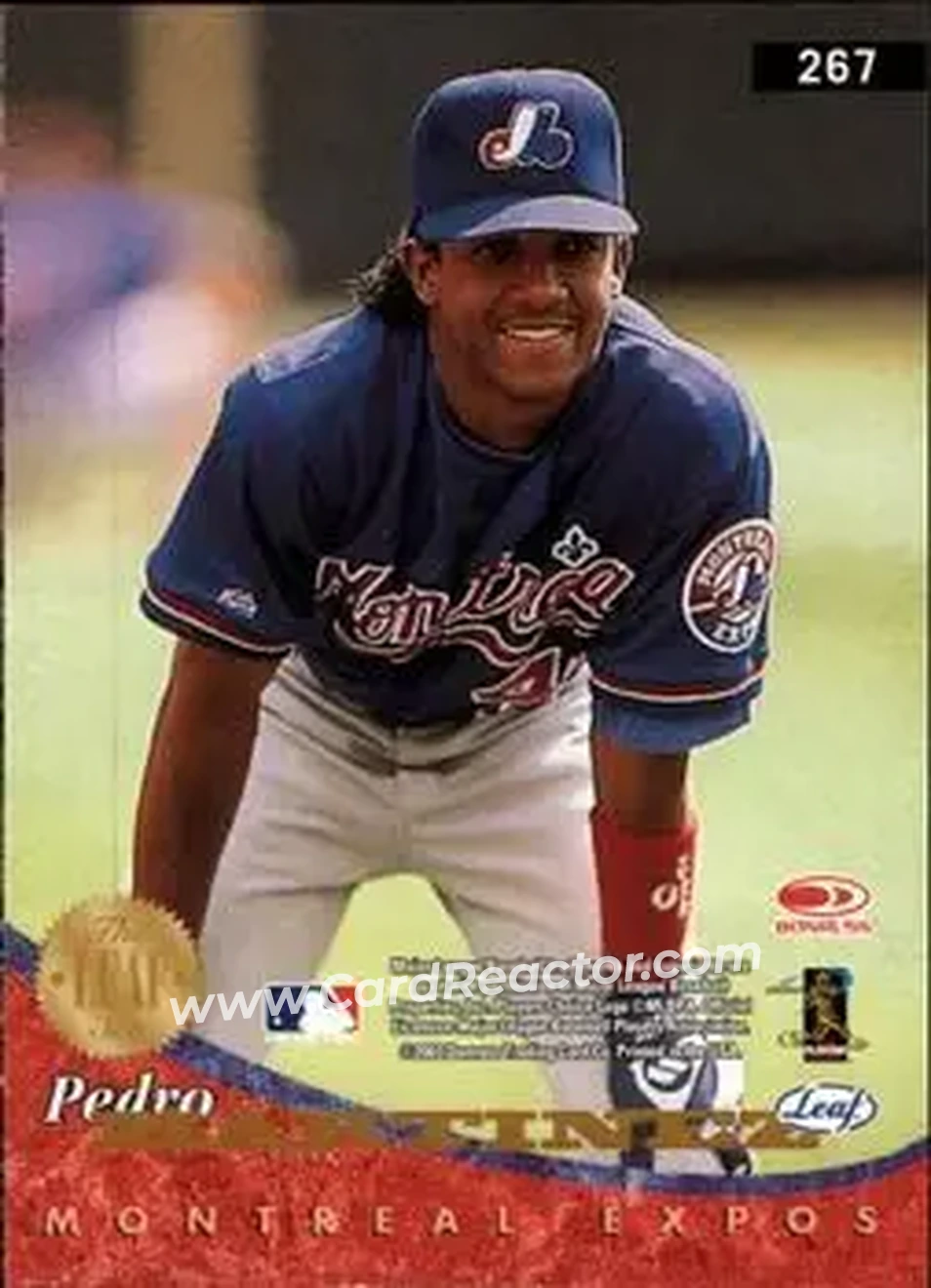 2004 Leaf #267 - Pedro Martinez - Back 2004 Leaf #267 - Pedro Martinez - Back