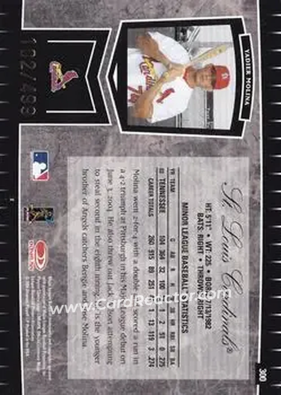 2004 Leaf Certified Cuts #300 - Yadier Molina - St. Louis Cardinals - Back