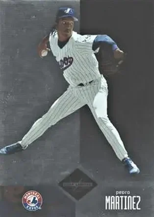 2004 Leaf Limited #179 - Pedro Martinez - Montreal Expos