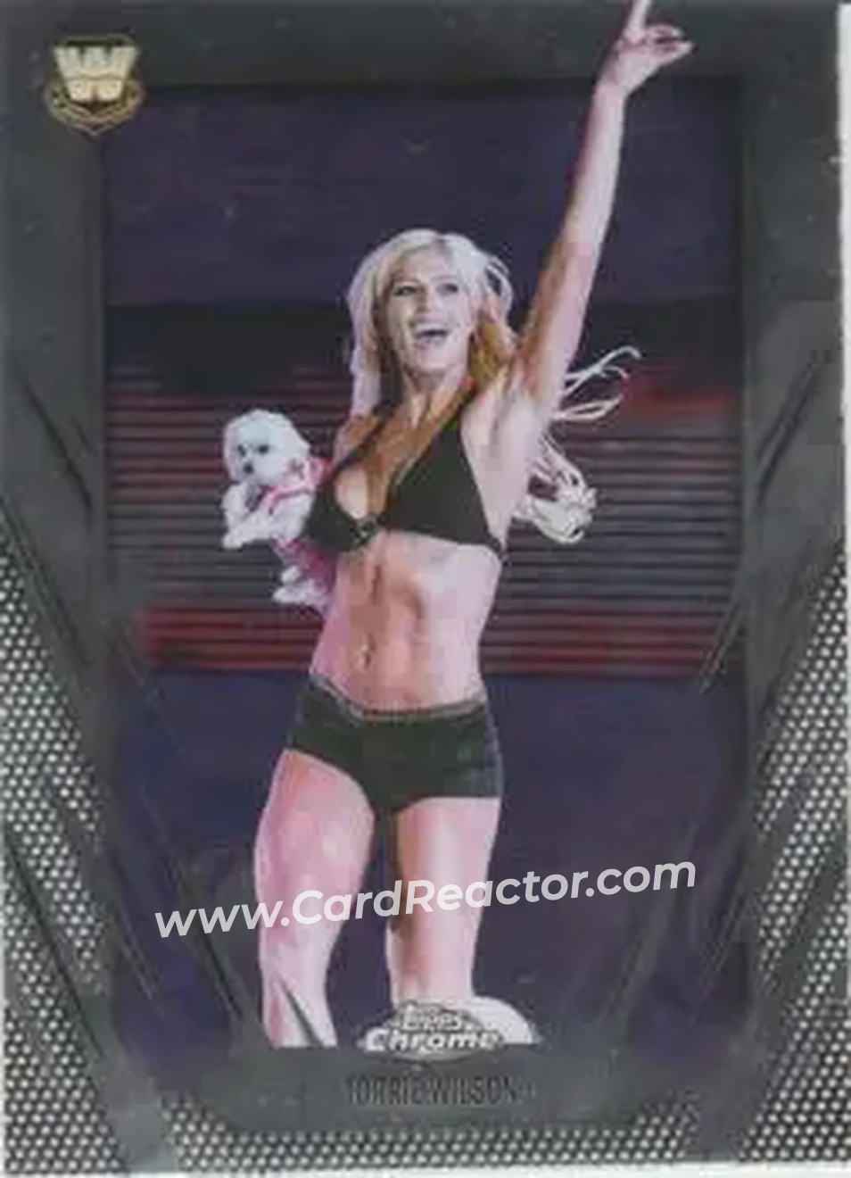 2026 Topps Chrome WWE #66 - Torrie Wilson - Front 2026 Topps Chrome WWE #66 - Torrie Wilson - Front