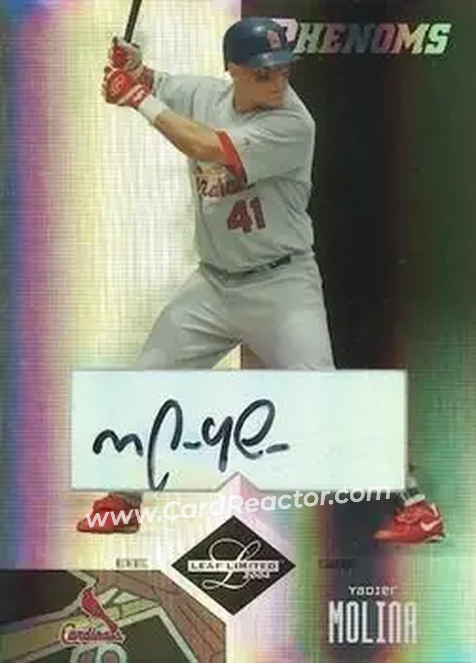 2004 Leaf Limited #275 - Yadier Molina - St. Louis Cardinals - Front