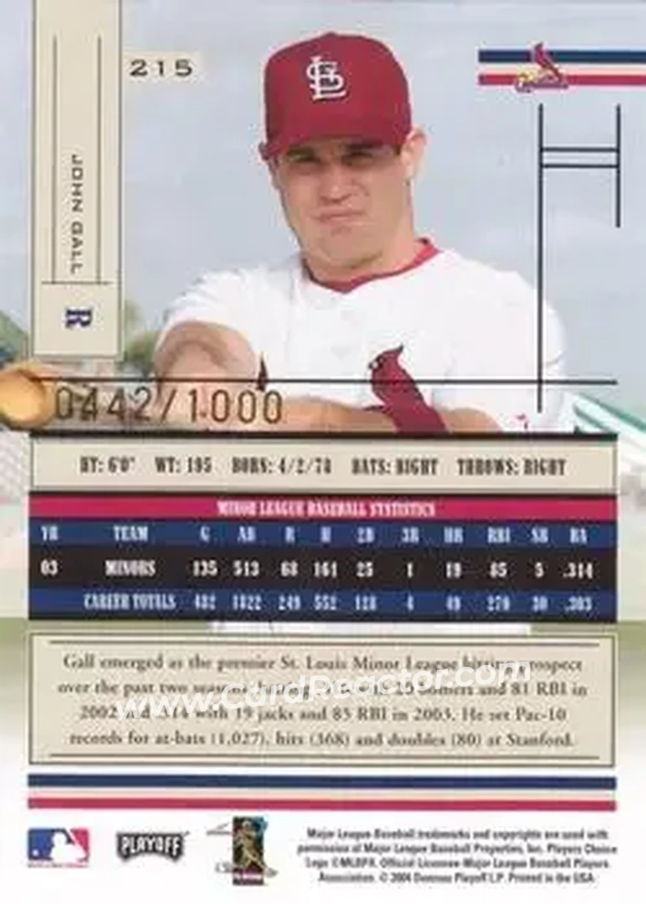 2004 Playoff Absolute Memorabilia #215 - John Gall - St. Louis Cardinals - Back