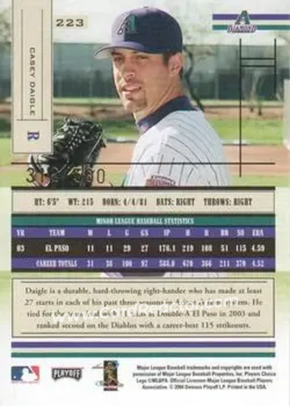 2004 Playoff Absolute Memorabilia #223 - Casey Daigle - Arizona Diamondbacks - Back