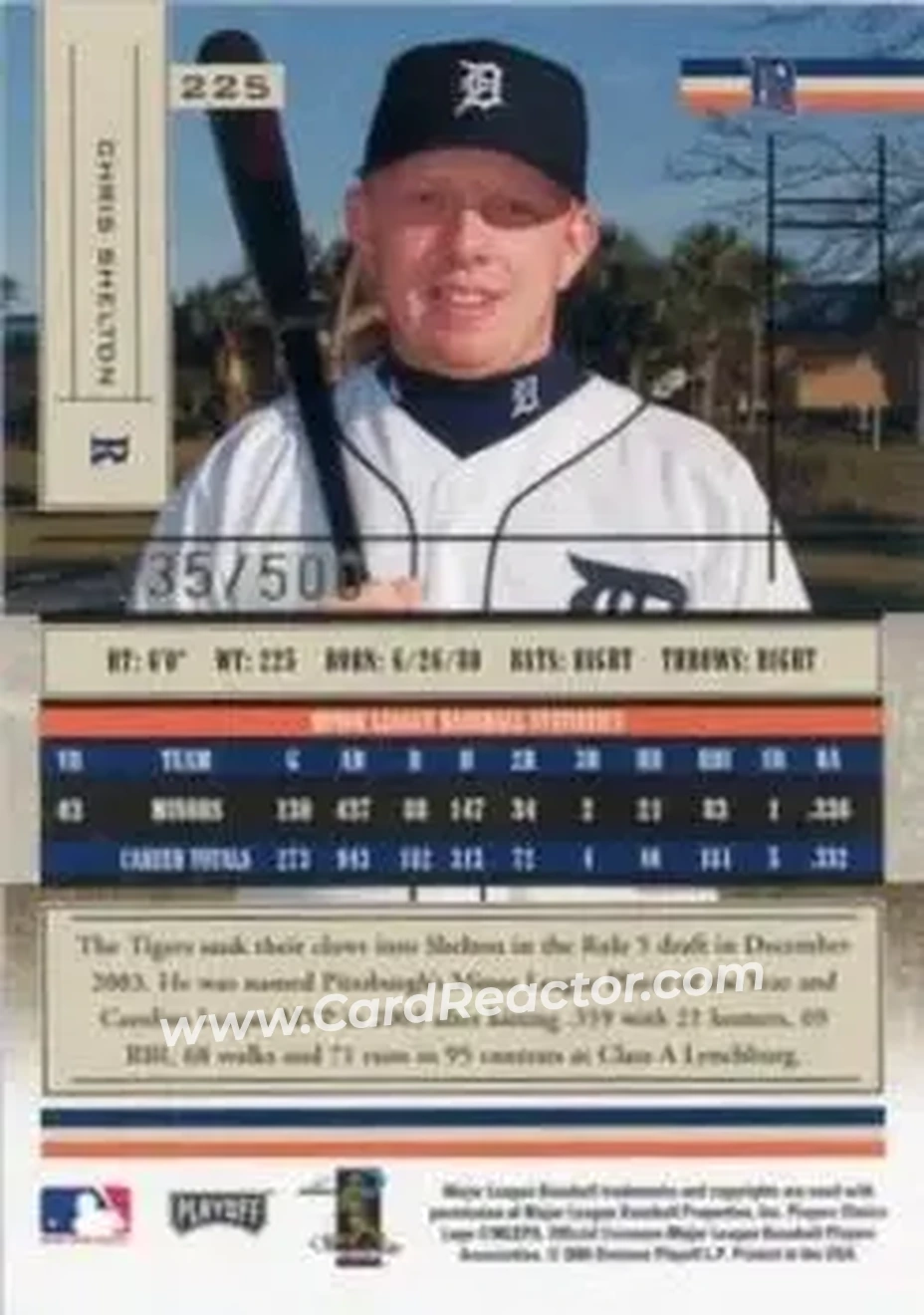 2004 Playoff Absolute Memorabilia #225 - Chris Shelton - Detroit Tigers - Back