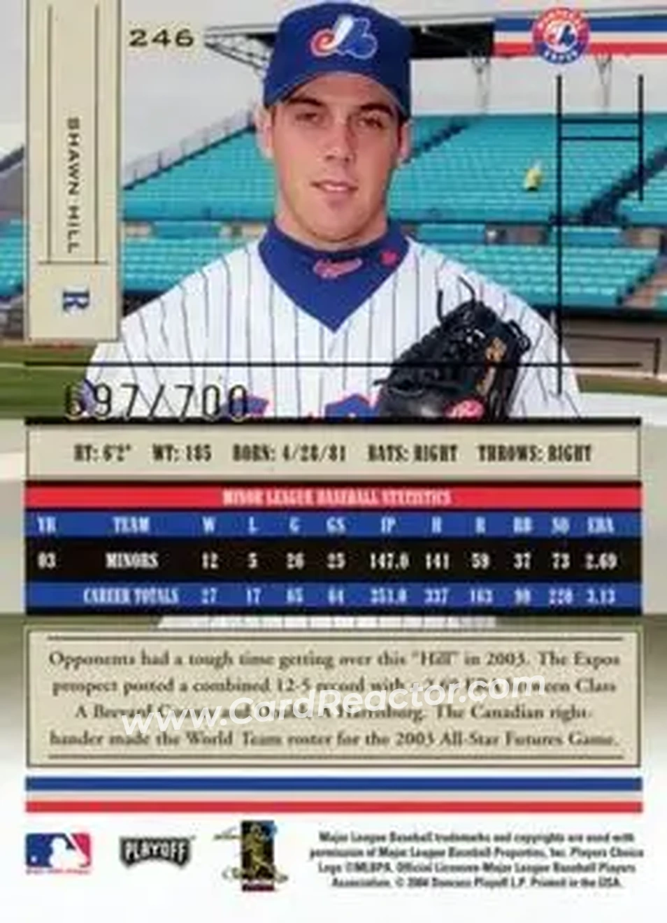 2004 Playoff Absolute Memorabilia #246 - Shawn Hill - Montreal Expos - Back