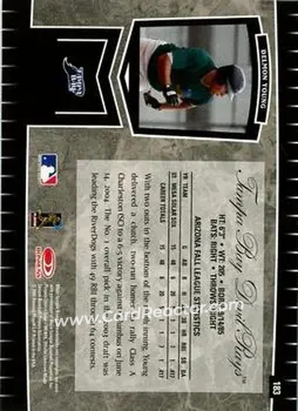 2004 Leaf Certified Cuts #183 - Delmon Young - Tampa Bay Devil Rays - Back