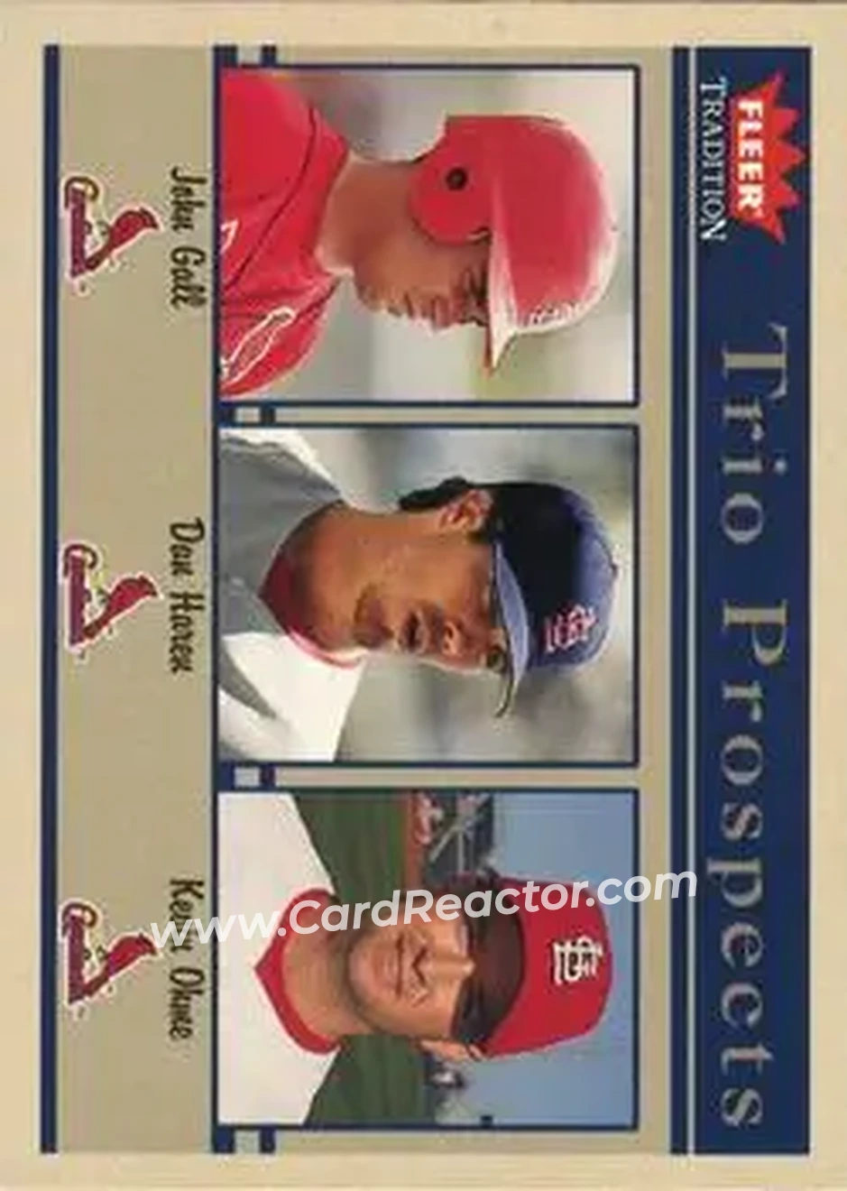 2004 Fleer Tradition #497 - John Gall - Dan Haren - Kevin Ohme - St. Louis Cardinals - Front