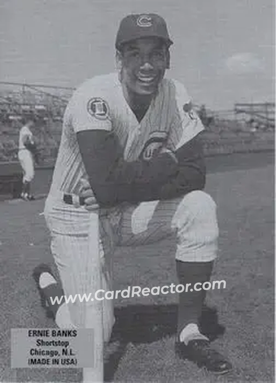 2004 Leaf - Exhibits 1925 Left Text Box #14 - Ernie Banks - Chicago Cubs - Front
