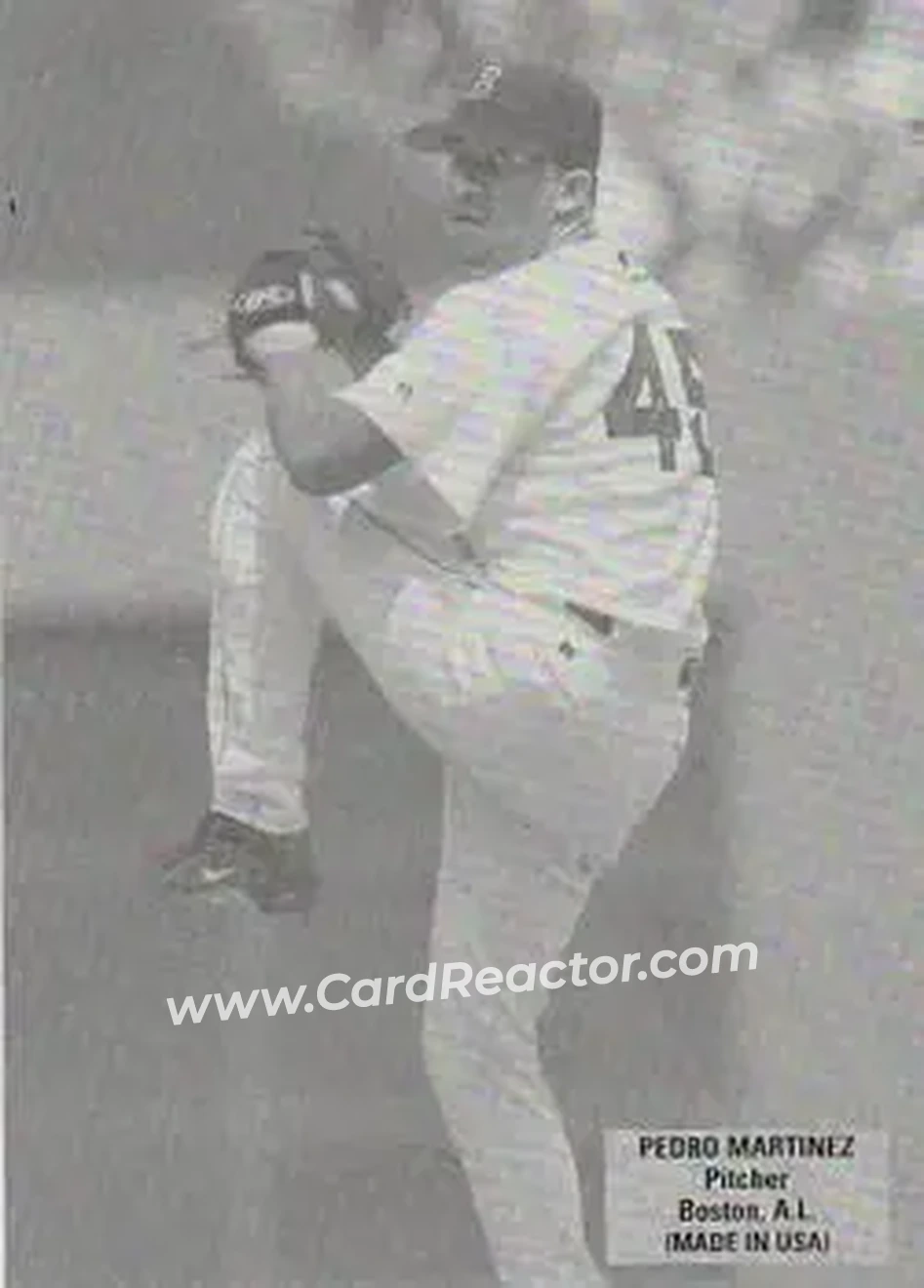 2004 Leaf - Exhibits 1925 Right Text Box #35 - Pedro Martinez - Boston Red Sox - Front
