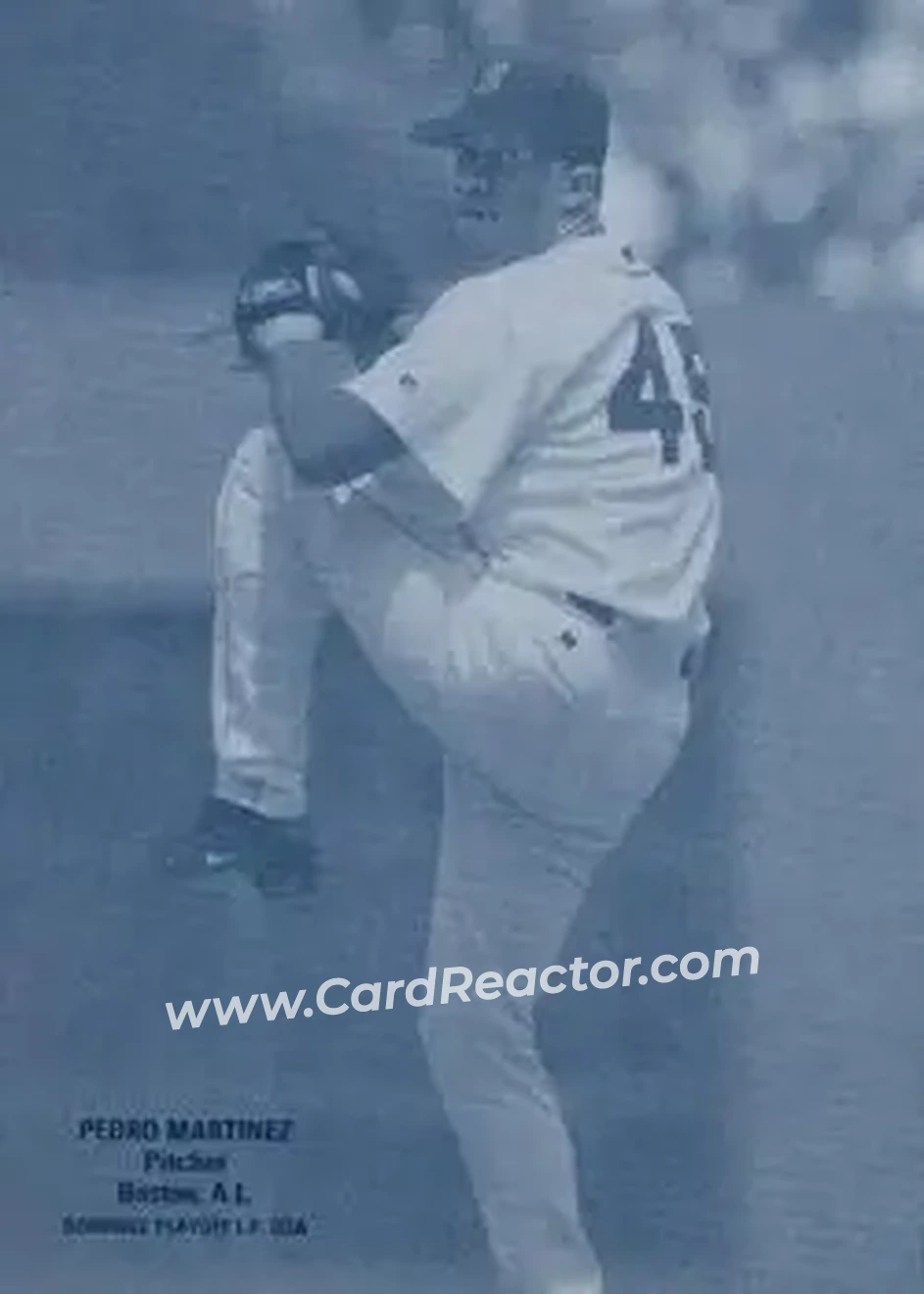2004 Leaf - Exhibits 1926 Unblocked Legend Donruss-Playoff Second Edition #35 - Pedro Martinez - Boston Red Sox - Front