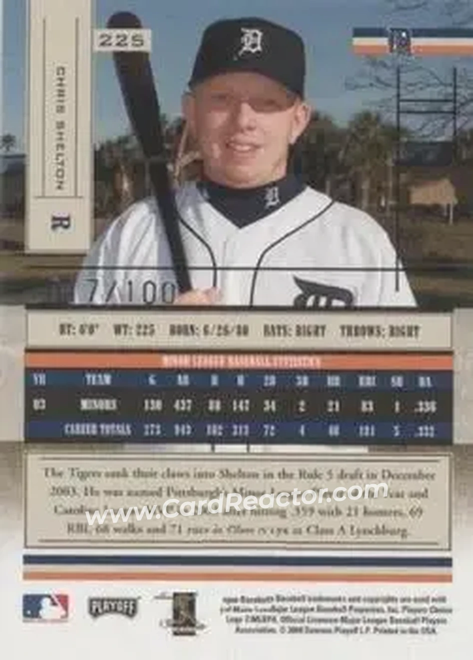 2004 Playoff Absolute Memorabilia - Signature Spectrum Gold #225 - Chris Shelton - Detroit Tigers - Back